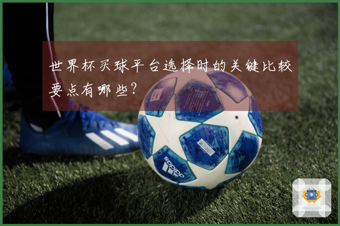 世界杯买球平台选择时的关键比较要点有哪些？