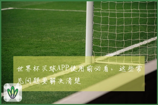 世界杯买球APP使用前必看，这些常见问题要解决清楚