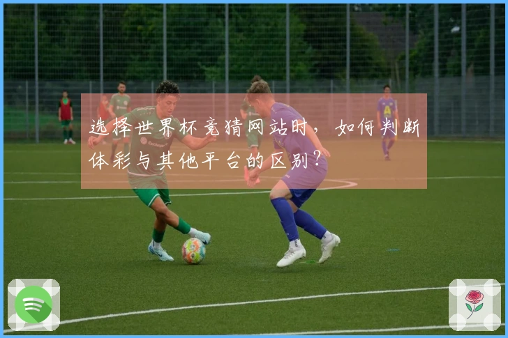 选择世界杯竞猜网站时，如何判断体彩与其他平台的区别？
