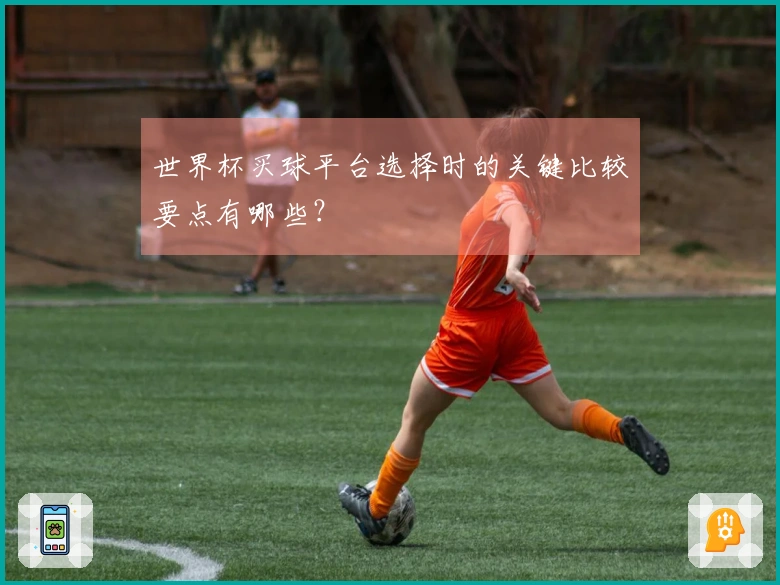 世界杯买球平台选择时的关键比较要点有哪些？