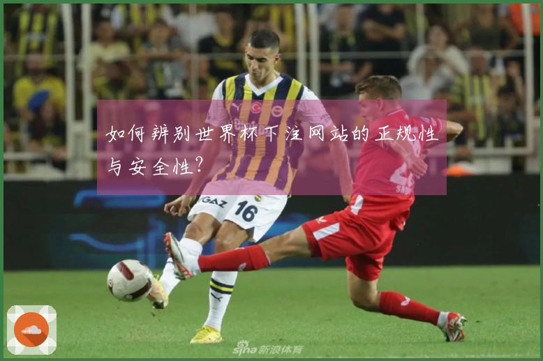 如何辨别世界杯下注网站的正规性与安全性？