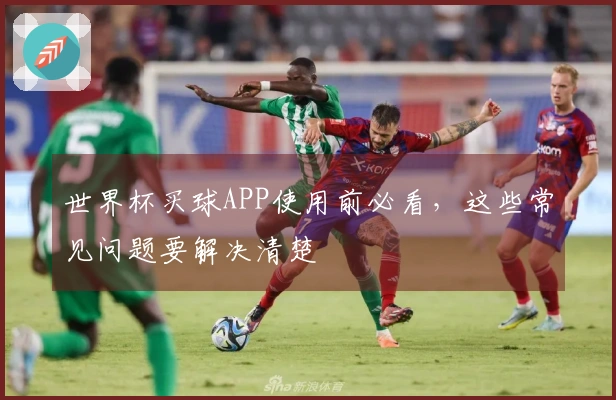 世界杯买球APP使用前必看，这些常见问题要解决清楚