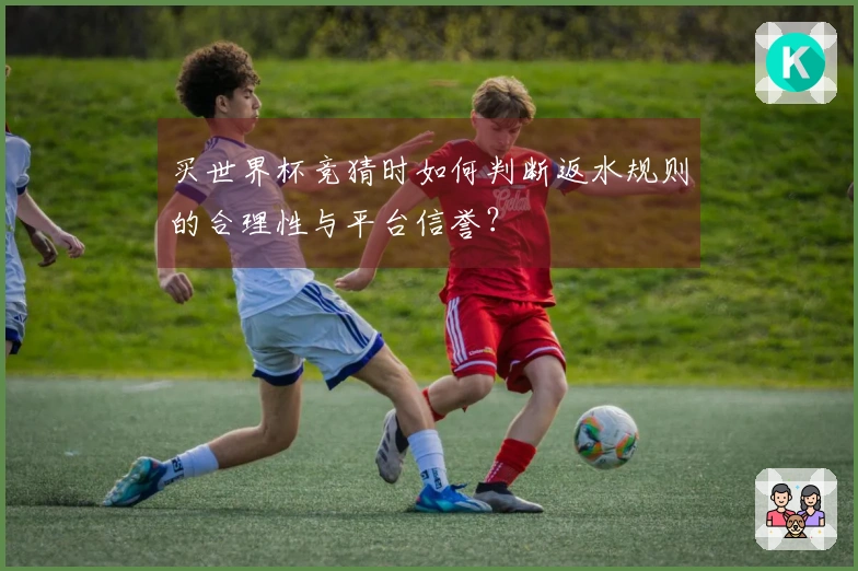 买世界杯竞猜时如何判断返水规则的合理性与平台信誉？