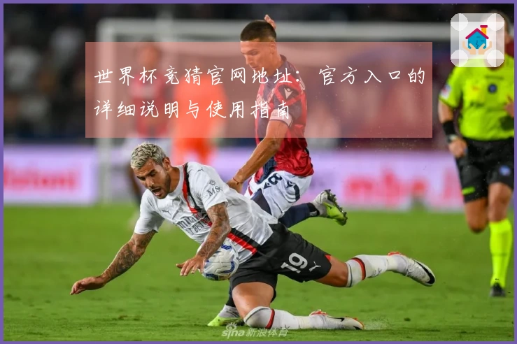 世界杯竞猜官网地址：官方入口的详细说明与使用指南