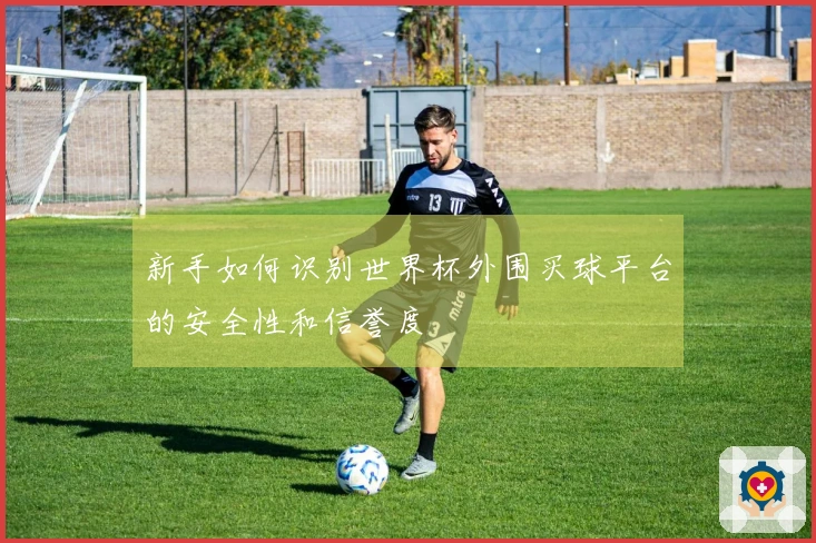 新手如何识别世界杯外围买球平台的安全性和信誉度