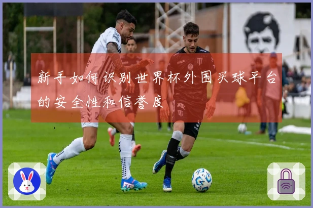 新手如何识别世界杯外围买球平台的安全性和信誉度