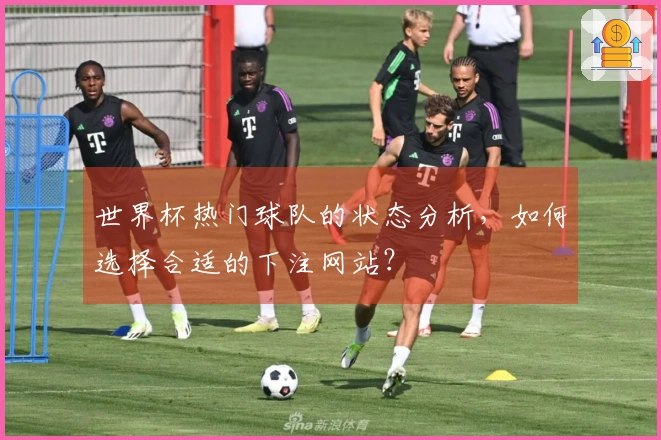 世界杯热门球队的状态分析，如何选择合适的下注网站？