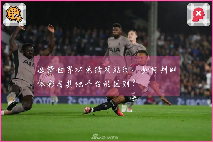 选择世界杯竞猜网站时，如何判断体彩与其他平台的区别？