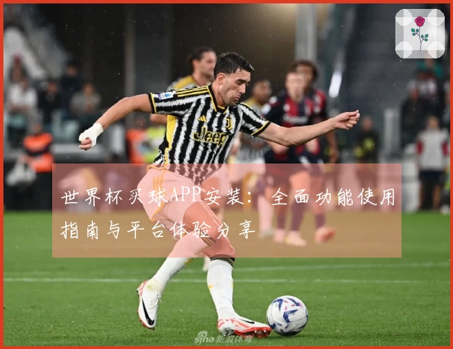 世界杯买球APP安装：全面功能使用指南与平台体验分享