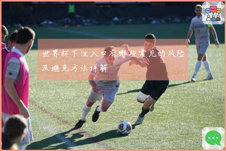 世界杯下注入口有哪些常见的风险及避免方法详解