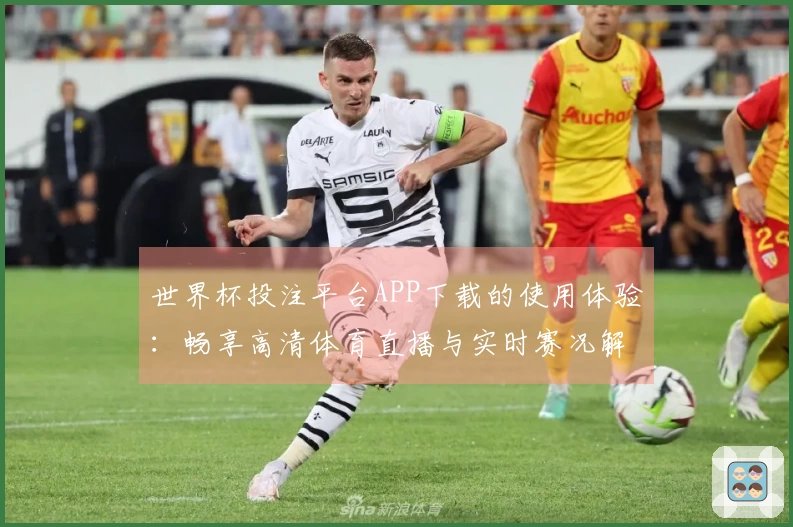 世界杯投注平台APP下载的使用体验：畅享高清体育直播与实时赛况解读