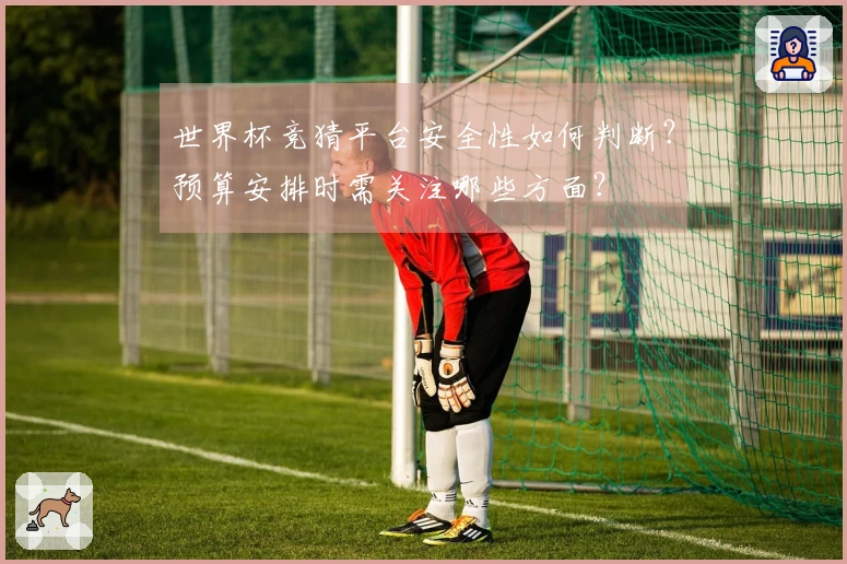 世界杯竞猜平台安全性如何判断?预算安排时需关注哪些方面?